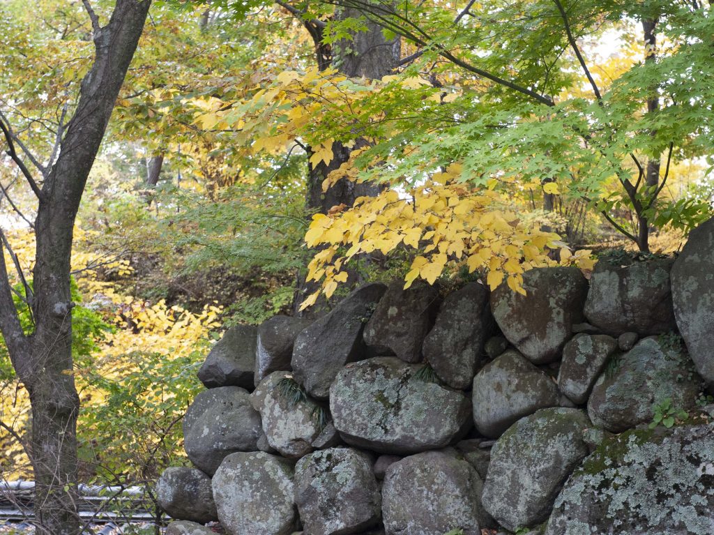 懐古園の紅葉