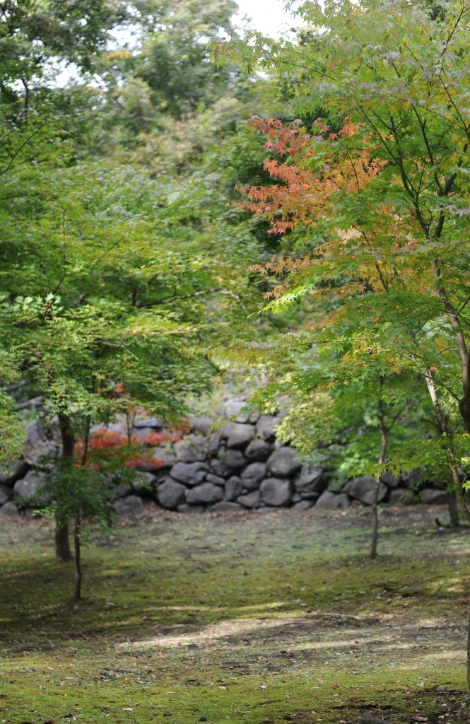 懐古園の紅葉