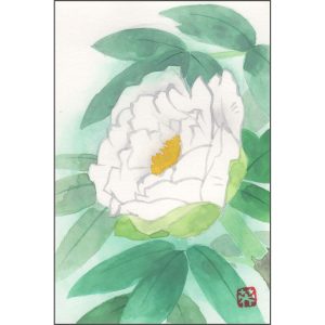 紅白牡丹（日本画） | ギャラリーまきの 信州の木製品と美術工芸品販売 